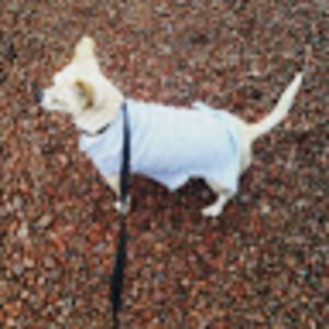 Meet your Posher, Speedy